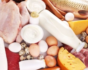 Protein Balanced Diet Protein Balanced Diet